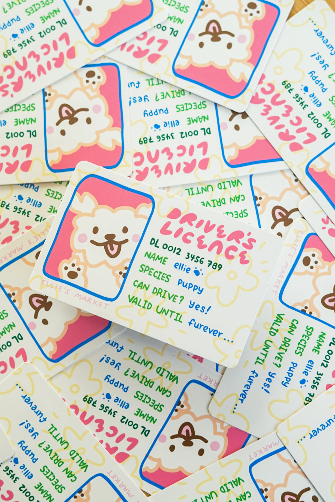 Card Sticker - DRIVERS LICENCE