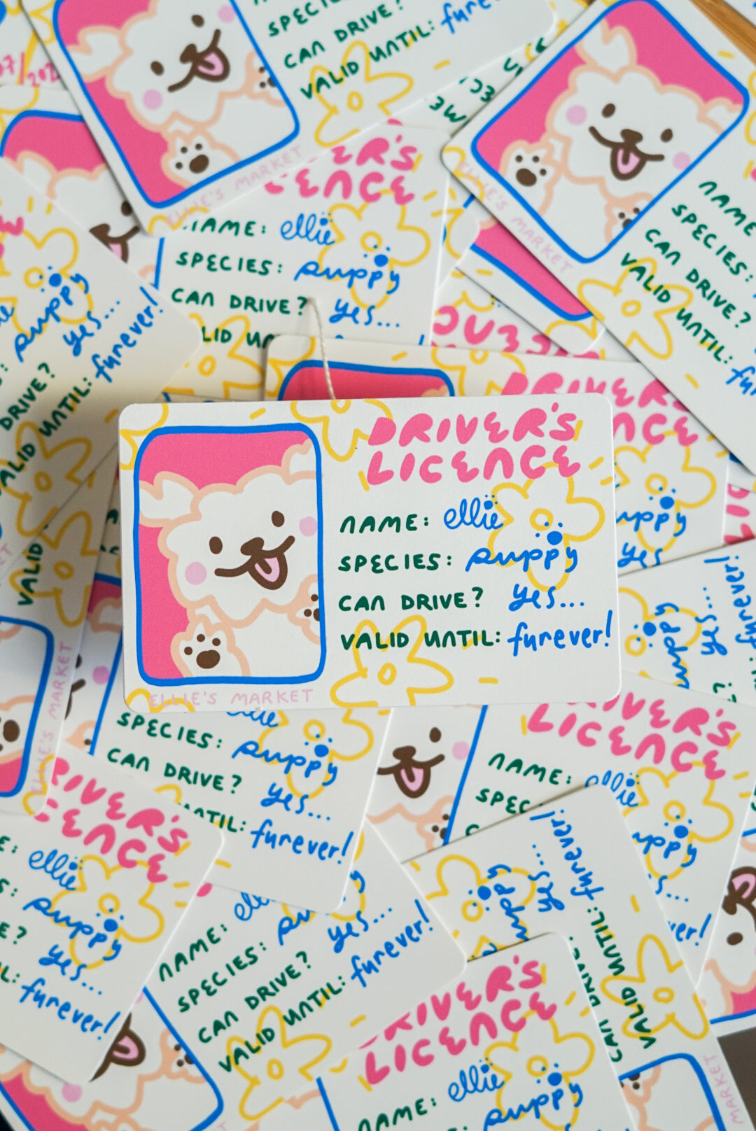 Card Sticker - DRIVERS LICENCE