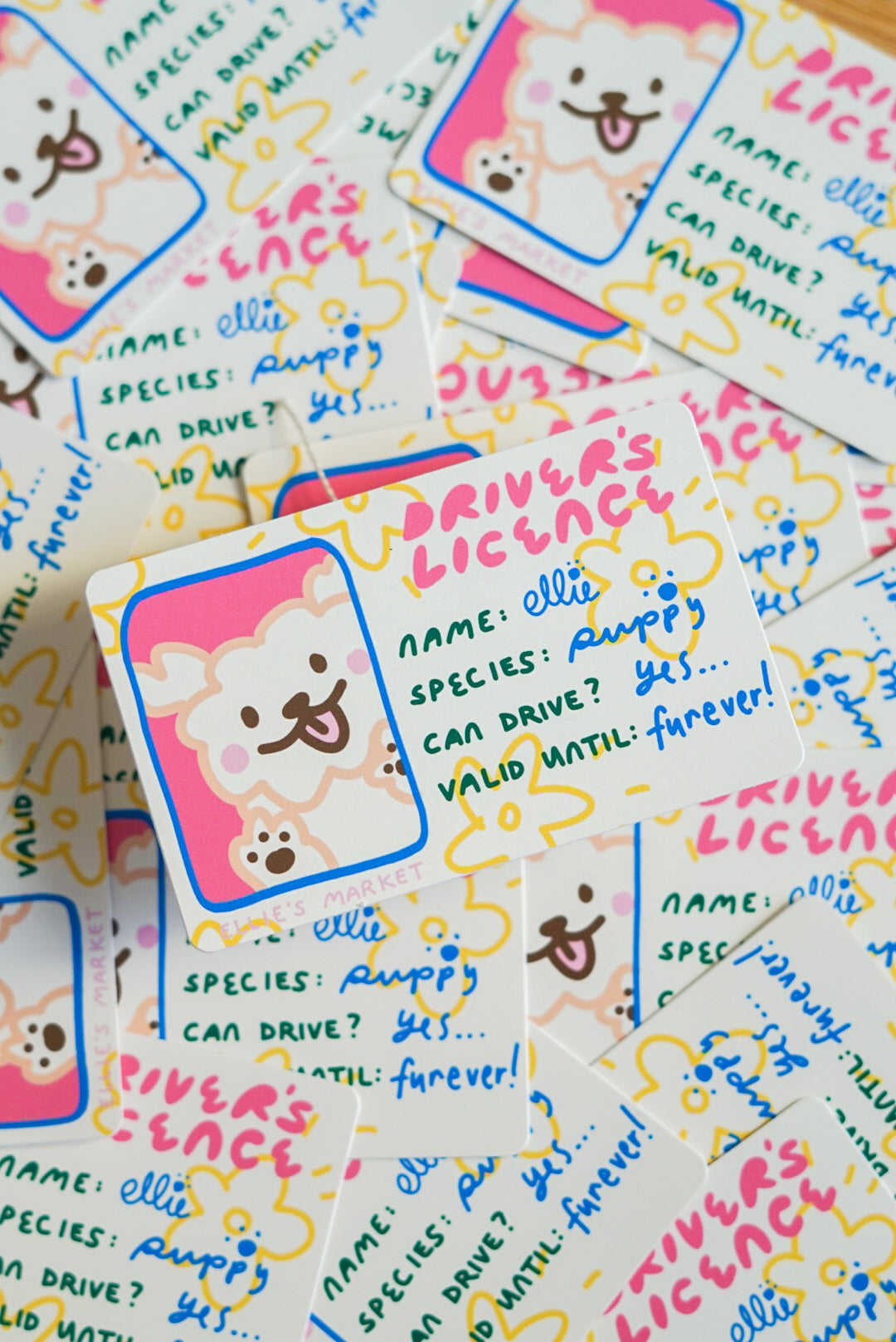 Card Sticker - DRIVERS LICENCE